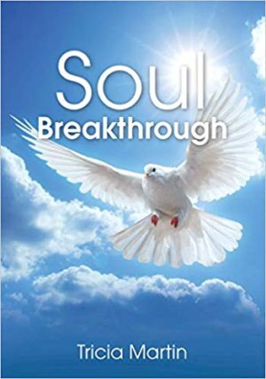 The Soul Breakthrough Workbook